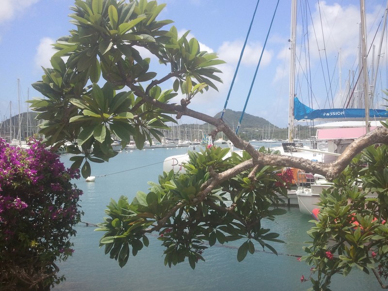 Marin-Martinique